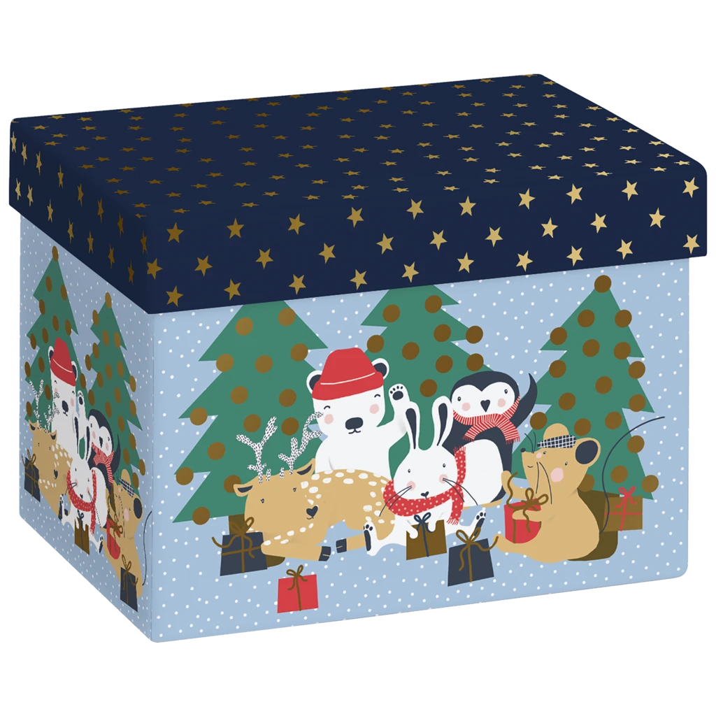 Geschenkbox „Malik“ | 12×12×16,5 cm, 120 g/m², hellblau