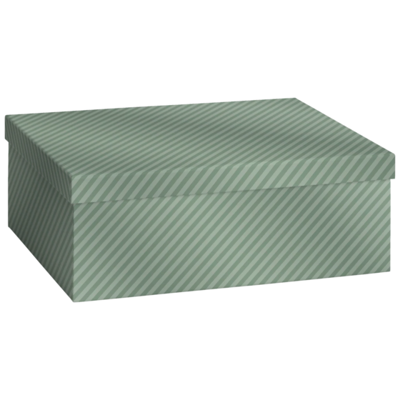 Gift Box “Stribe” | 24×12×33 cm, 120 gsm, sage