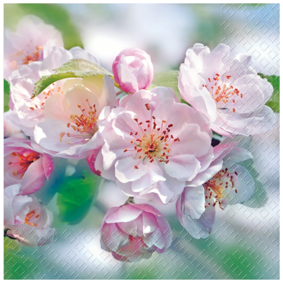 Servietten „Rita“ | 33×33 cm, rosa, 20 Stück