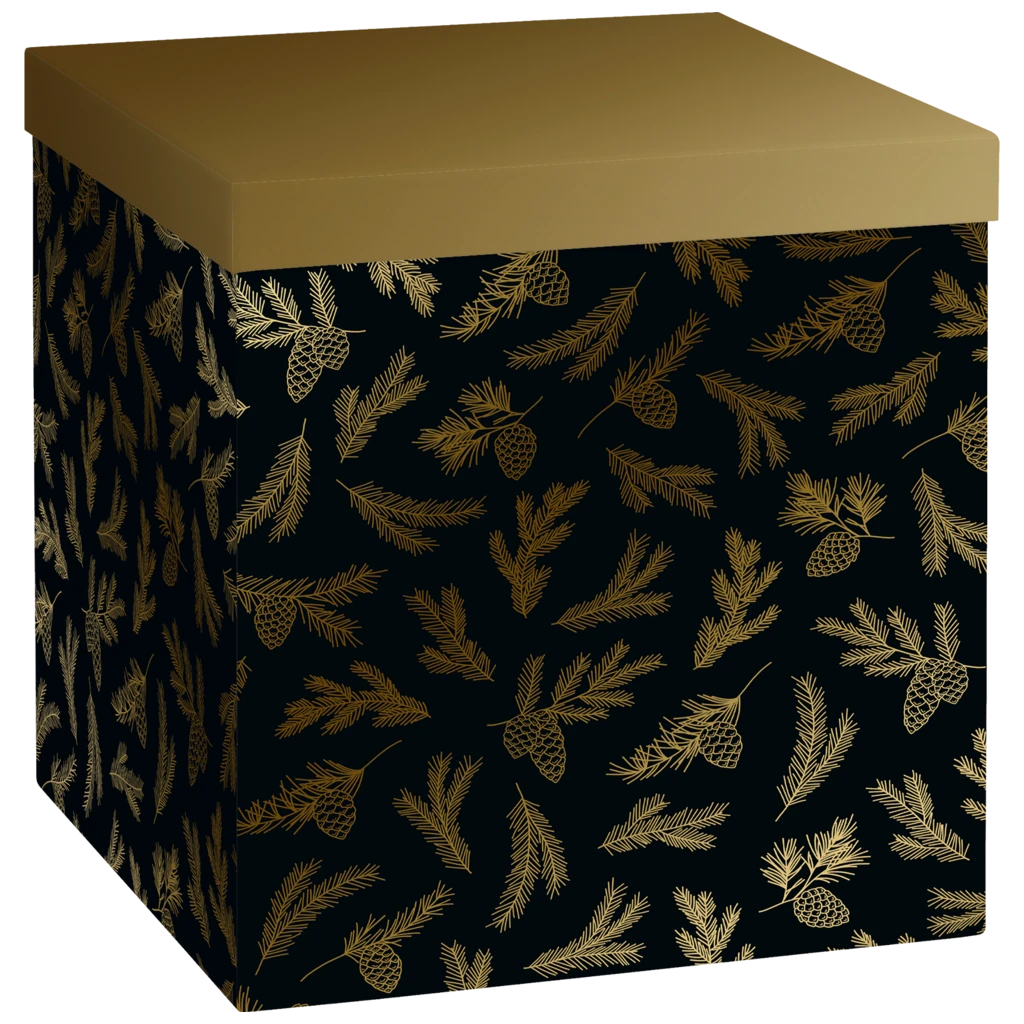 Geschenkbox „Mariola“ | 23×24×23 cm, 120 g/m², schwarz/gold