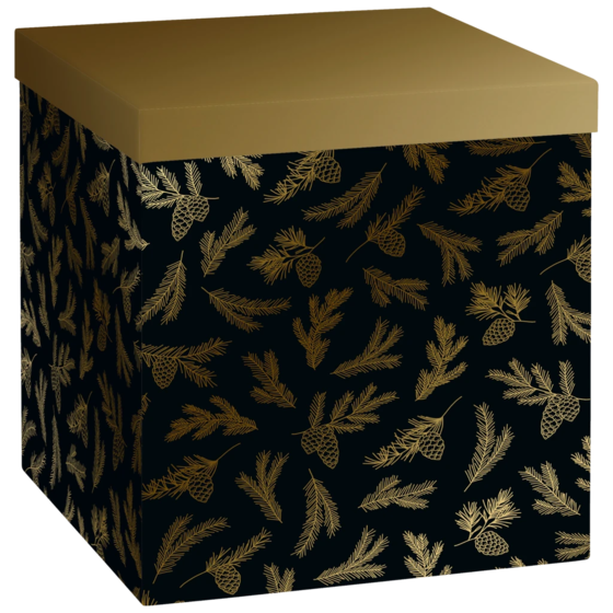 Geschenkbox „Mariola“ | 23×24×23 cm, 120 g/m², schwarz/gold