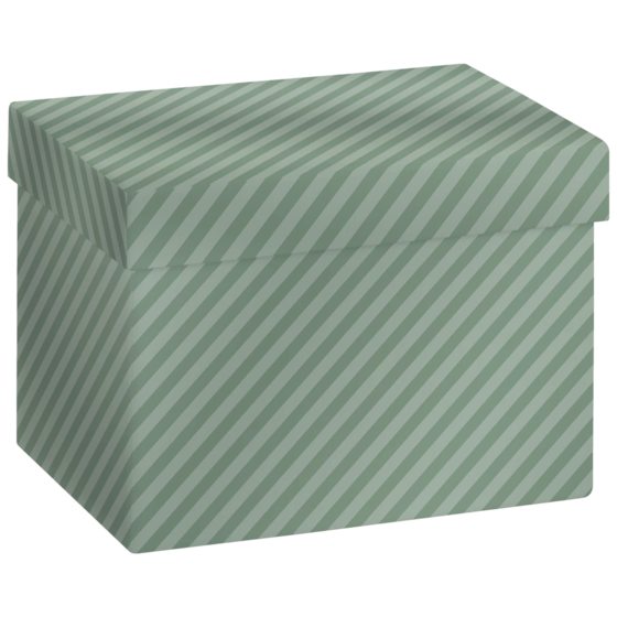 Gift Box “Stribe” | 12×6×16,5 cm, sage
