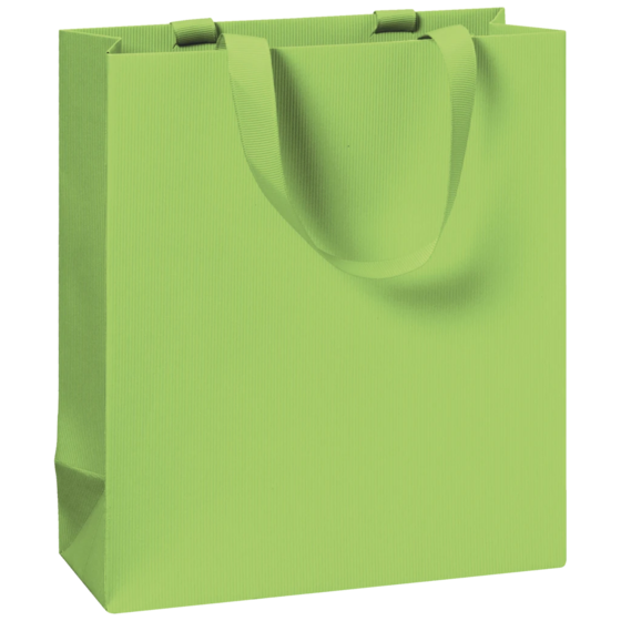 Pochette cadeau One Colour | 18×21×8 cm, 250 g/m², vert clair