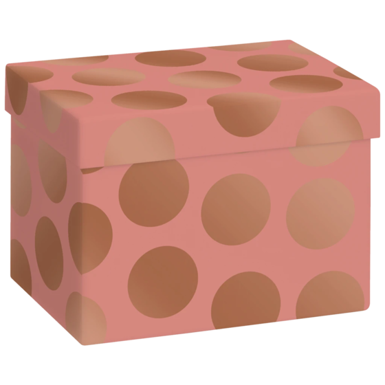 Geschenkbox „Vanda“ | 12×12×16,5 cm, 120 g/m², terracotta