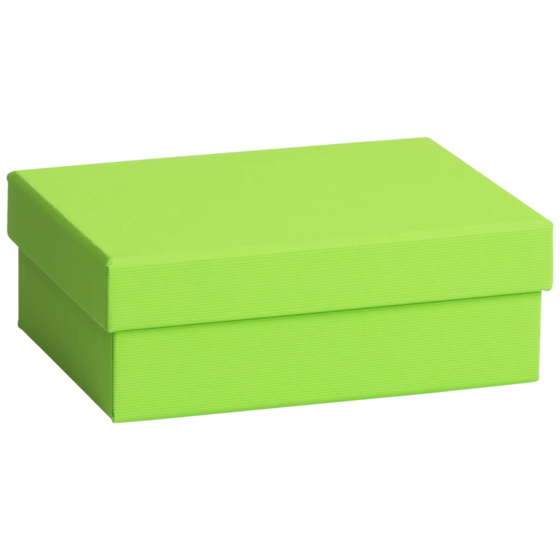 Geschenkbox One Colour | 16,5×6×12 cm, hellgrün
