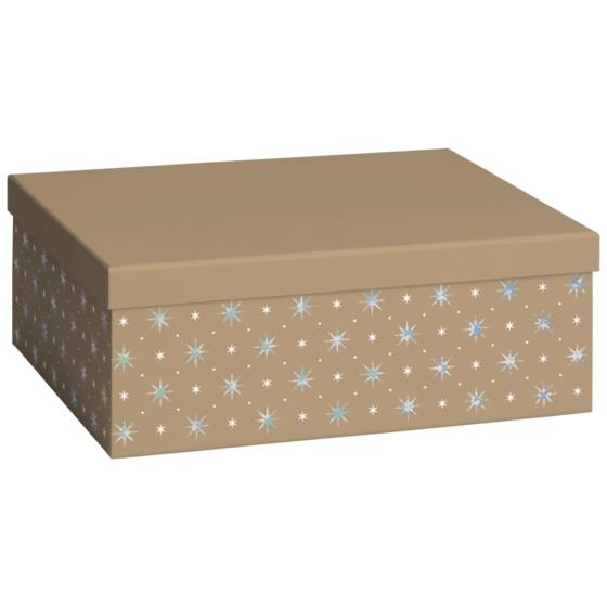 Geschenkbox „Zidonia“ | 24×12×33 cm, 120 g/m², gold