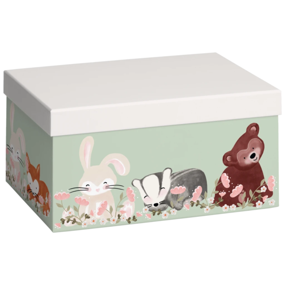 Geschenkbox „Momo“ | 16×12×24 cm, 120 g/m², hellgrün