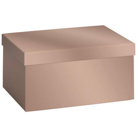 Geschenkbox „Uni Pure“ | 16×12×24 cm, 120 g/m², bronzegold