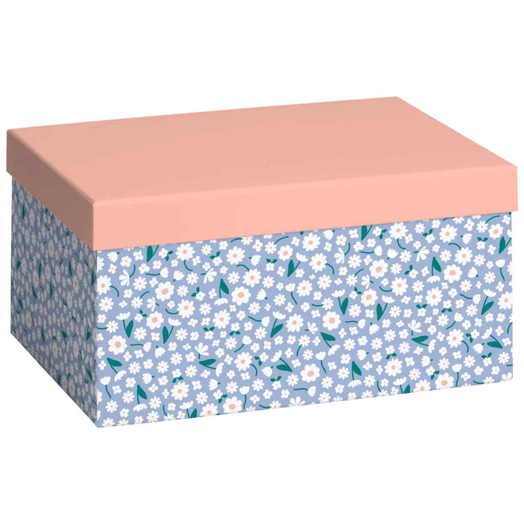 Geschenkbox „Samia“ | 16,5×12×24 cm, 120 g/m², lachs/himmelblau
