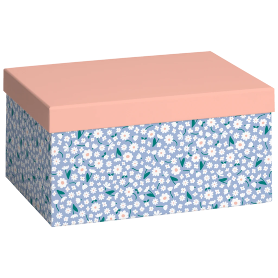 Geschenkbox „Samia“ | 16,5×12×24 cm, 120 g/m², lachs/himmelblau
