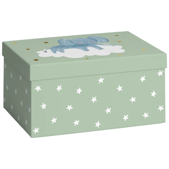Geschenkbox „Mimmo“ | 16,5×12×24 cm, pastellgrün