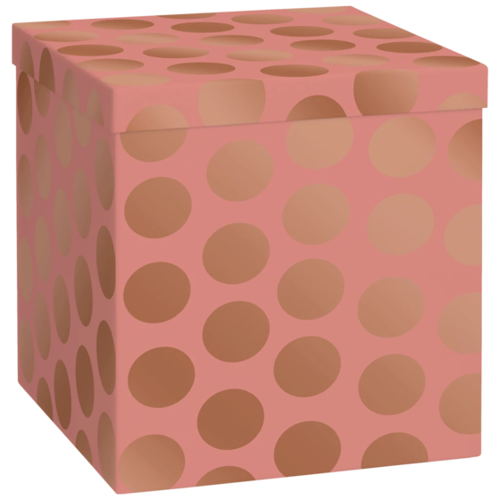 Geschenkbox „Vanda“ | 23×24×23 cm, 120 g/m², terracotta