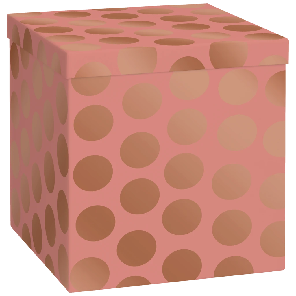 Geschenkbox „Vanda“ | 23×24×23 cm, 120 g/m², terracotta