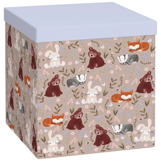 Geschenkbox „Momo“ | 23×24×23 cm, 120 g/m², hellgrün
