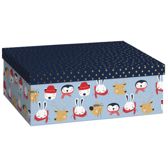 Boîte cadeau « Malik » | 24×12×33 cm, 120 g/m², bleu clair