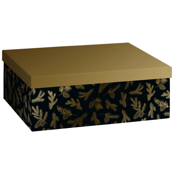 Geschenkbox „Mariola“ | 24×12×33 cm, 120 g/m², schwarz/gold