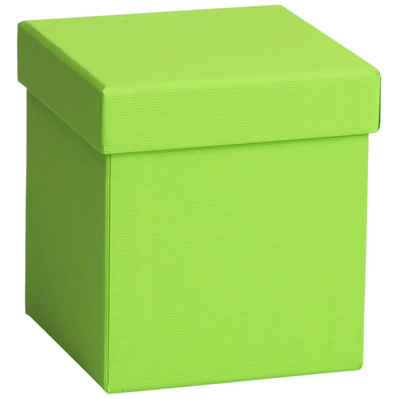 Geschenkbox One Colour | 11×11×12 cm, hellgrün