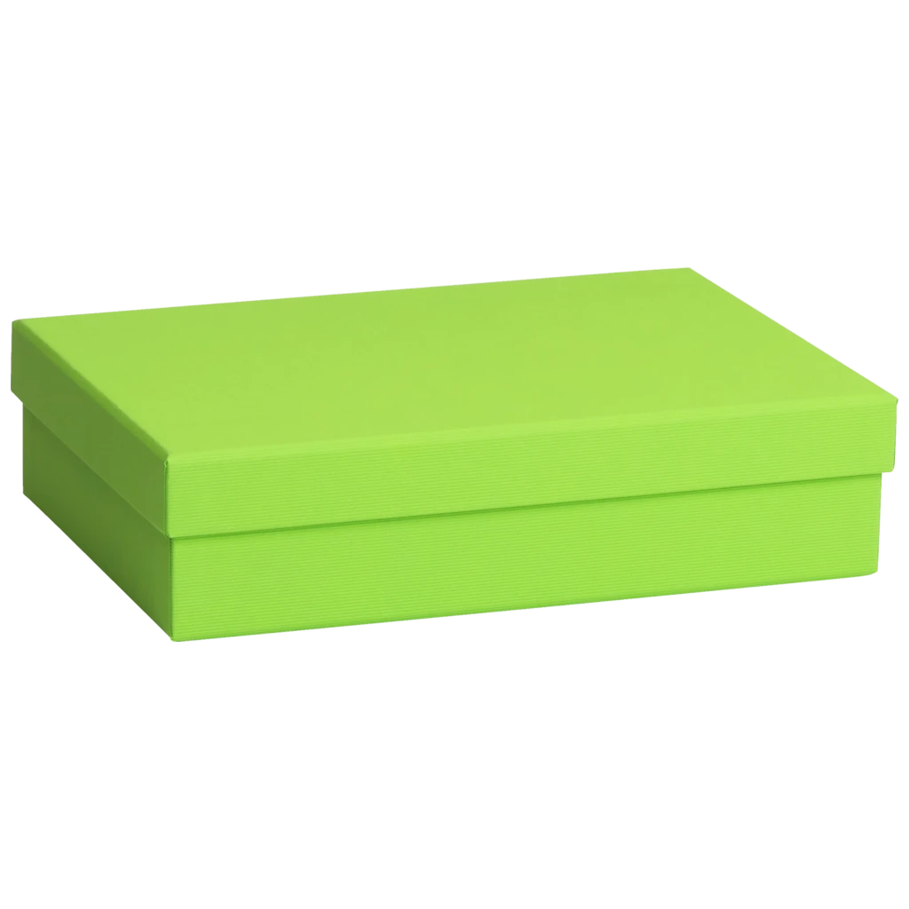 Geschenkbox One Colour | 24×6×16,5 cm, hellgrün