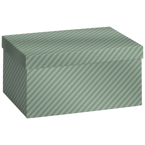 Gift Box “Stribe” | 24×6×16,5 cm, sage