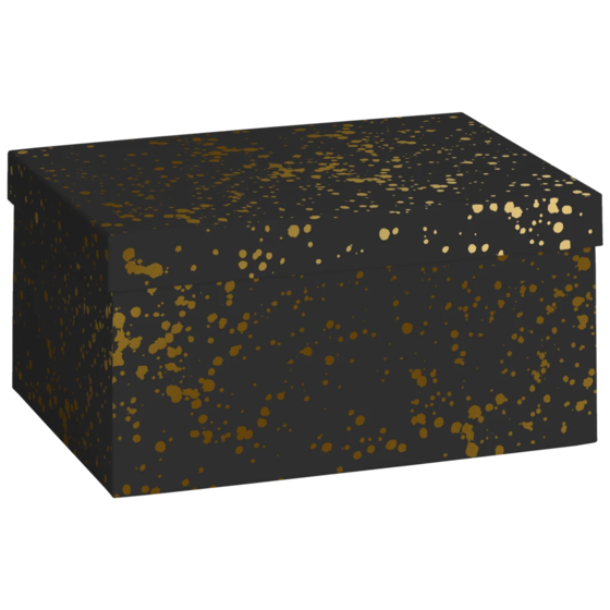 Boîte cadeau « moucheté » | 16×12×24 cm, 120 g/m², noir