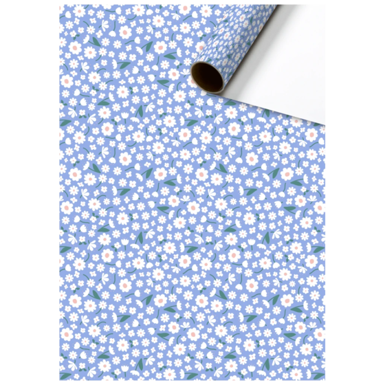 Geschenkpapier „Samia“ | 70 cm × 2 m, 80 g/m², hellblau