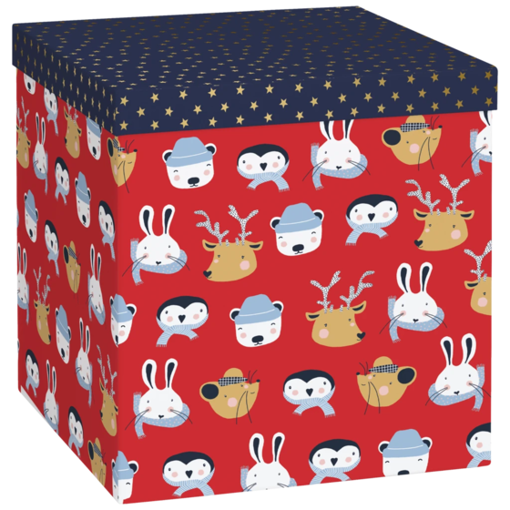 Boîte cadeau « Malik » | 23×24×23 cm, 120 g/m², rouge