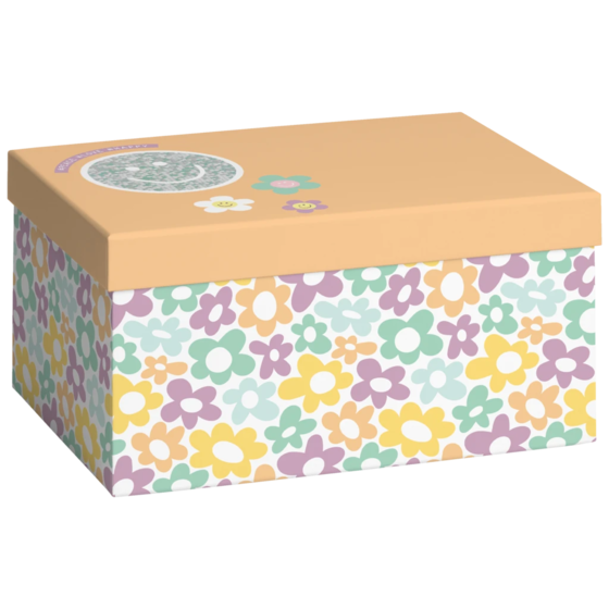 Geschenkbox „Nea“ | 16,5×12×24 cm, apricot/mehrfarbig, pastell