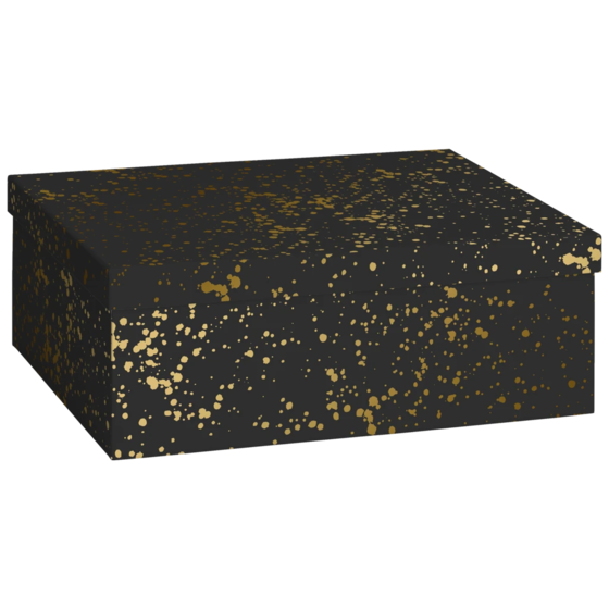 Boîte cadeau « moucheté » | 24×12×33 cm, 120 g/m², noir