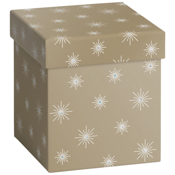 Geschenkbox | 11×11×12 cm, gold
