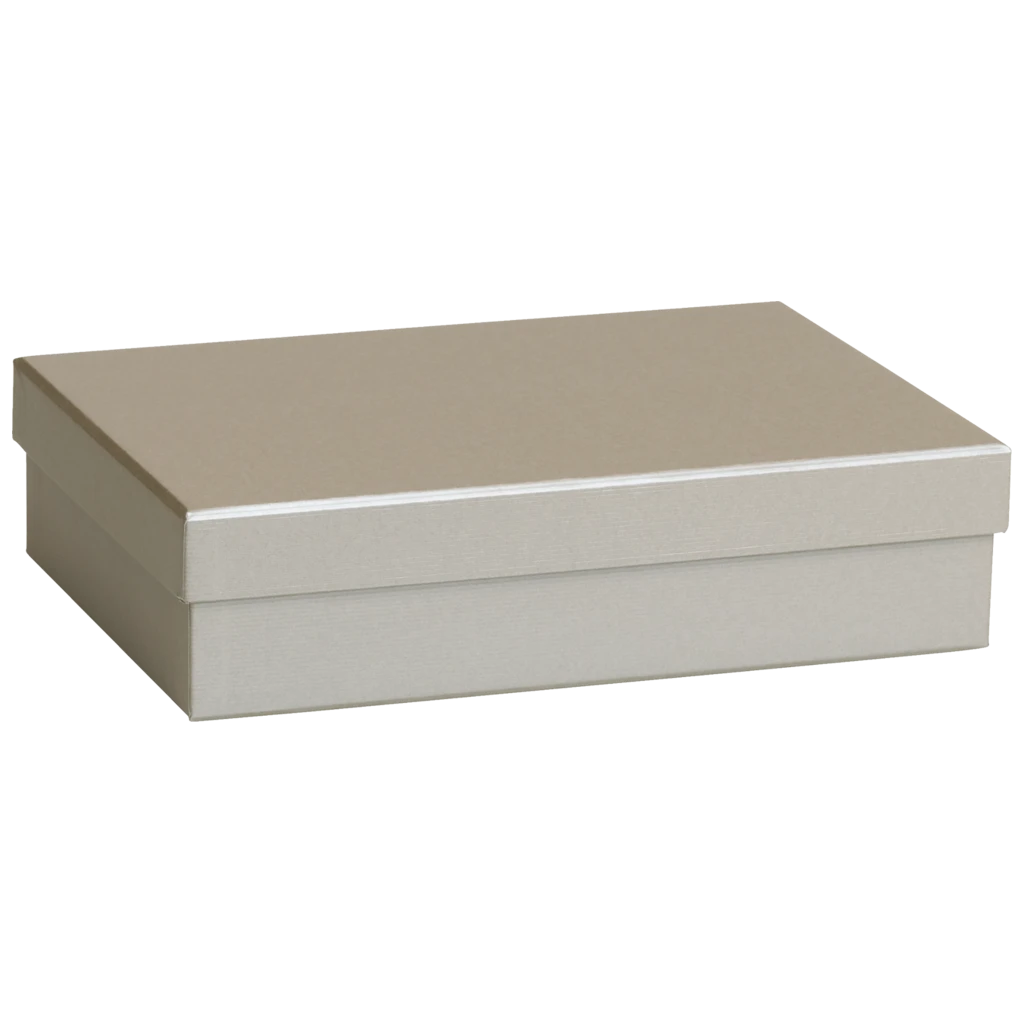 Geschenkbox One Colour | 24×6×16,5 cm, silber