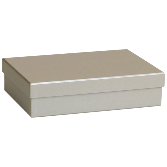 Geschenkbox One Colour | 24×6×16,5 cm, silber