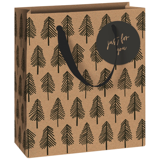 Geschenktasche | 18×21×8 cm, 250 g/m², schwarz