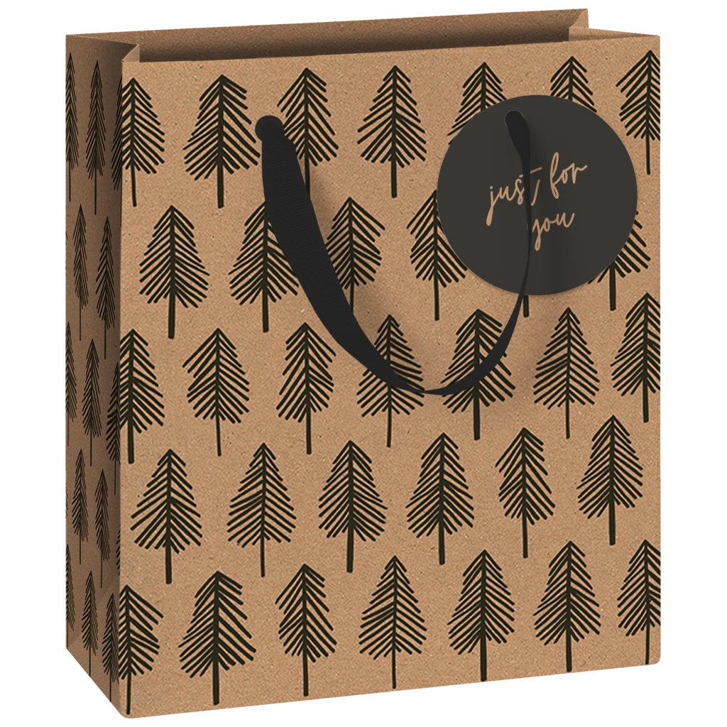 Geschenktasche | 18×21×8 cm, 250 g/m², schwarz