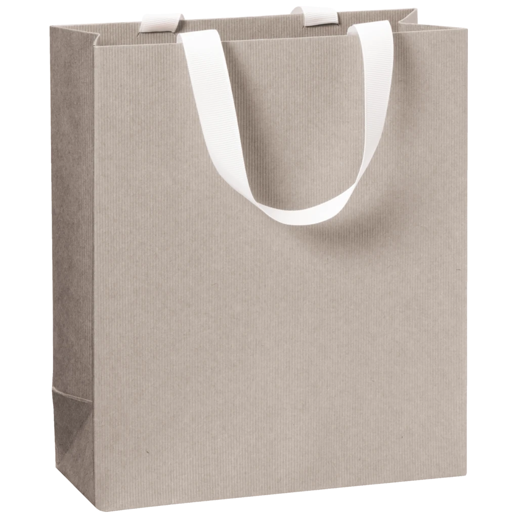 Geschenktasche One Colour | 18×21×8 cm, 250 g/m², hellgrau