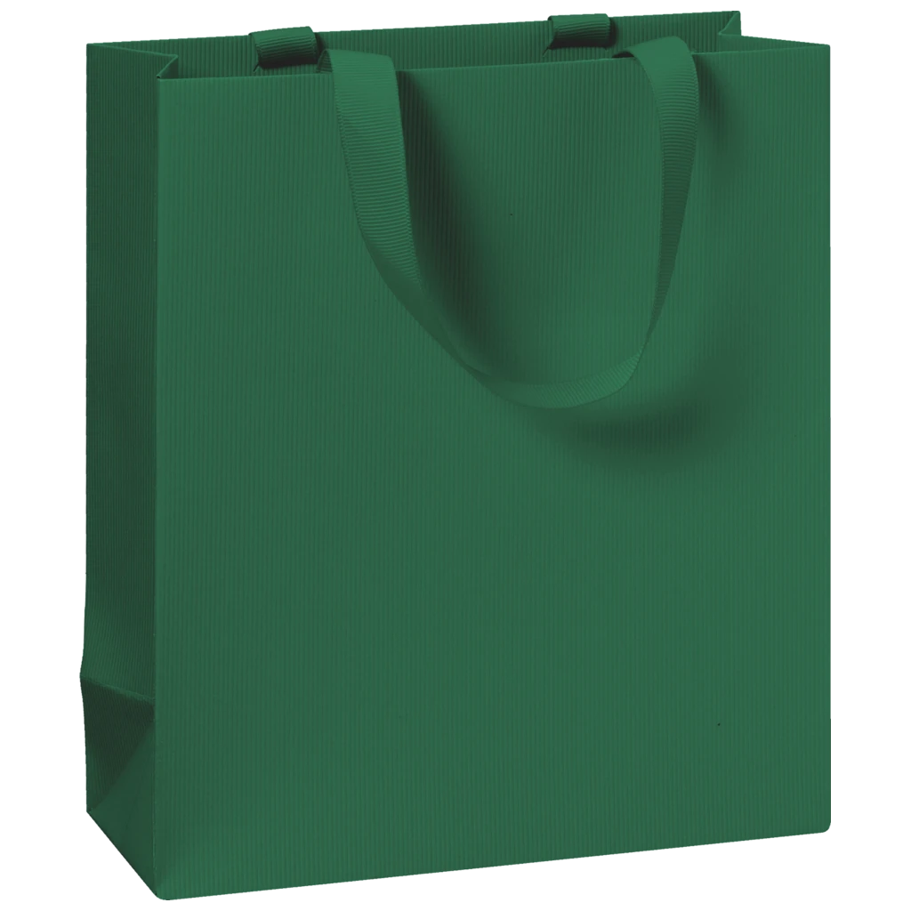 Geschenktasche One Colour | 18×21×8 cm, 250 g/m², dunkelgrün