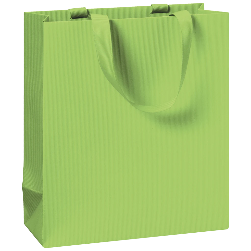 Geschenktasche One Colour | 18×21×8 cm, 250 g/m², hellgrün