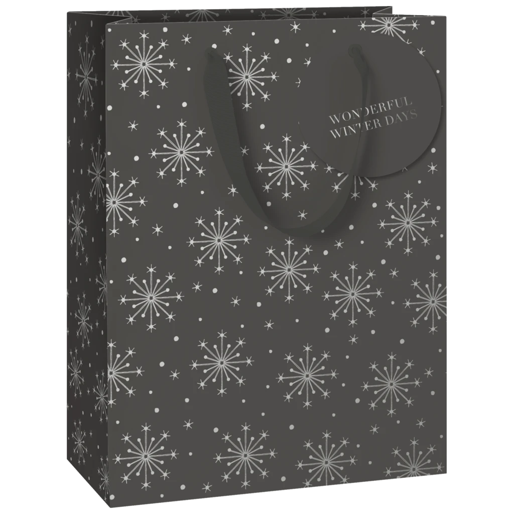 Geschenktasche „Nieve“ | 23×30×13 cm, 250 g/m², dunkelgrau