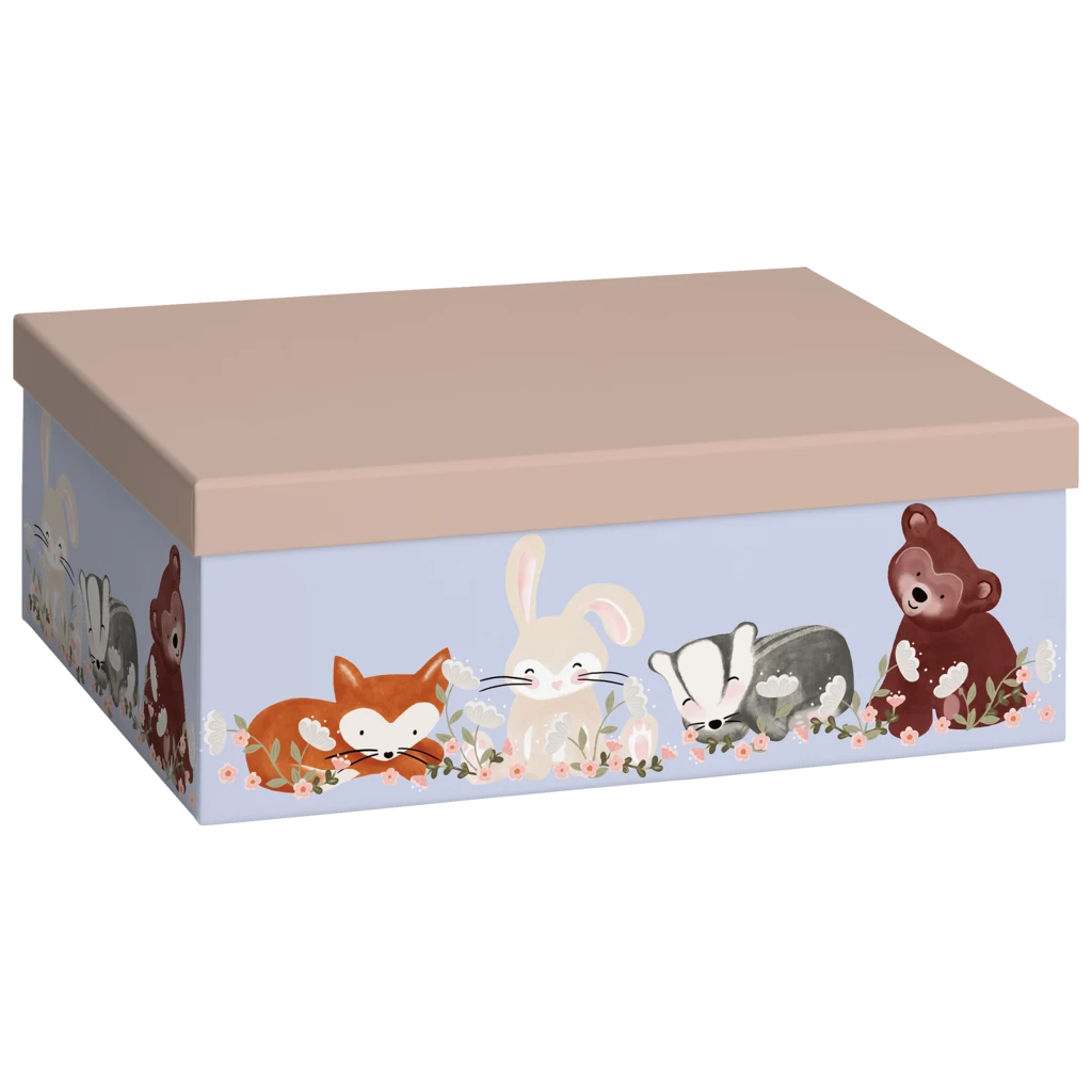 Geschenkbox „Momo“ | 24×12×33 cm, 120 g/m², hellgrün