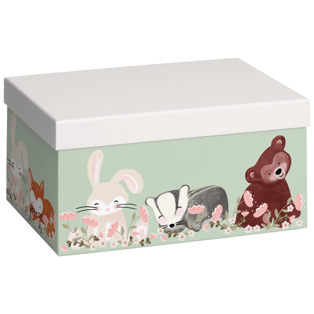 Geschenkbox „Momo“ | 16×12×24 cm, 120 g/m², hellgrün