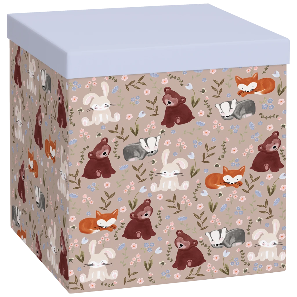 Geschenkbox „Momo“ | 23×24×23 cm, 120 g/m², hellgrün