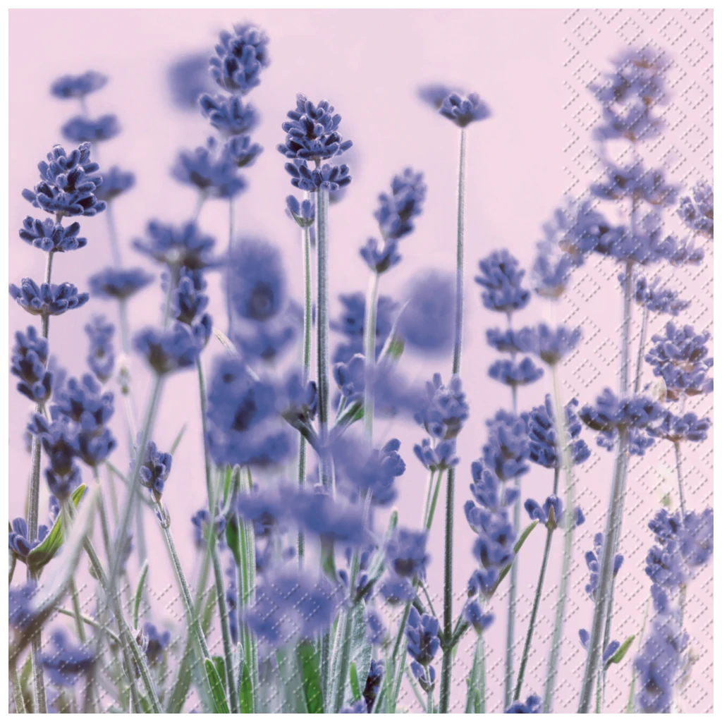 Servietten | 33×33 cm, violett, 20 Stück