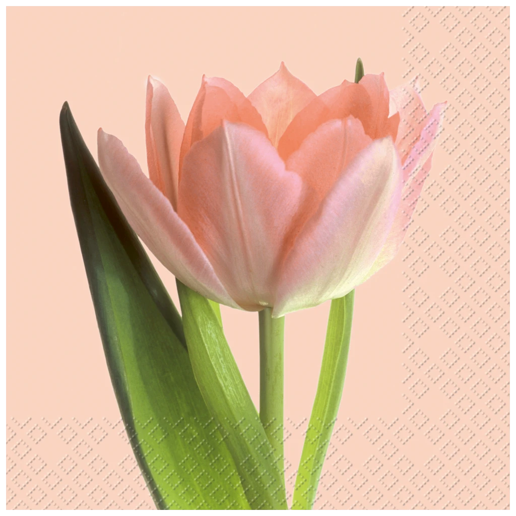 Servietten | 33×33 cm, rosa, 20 Stück