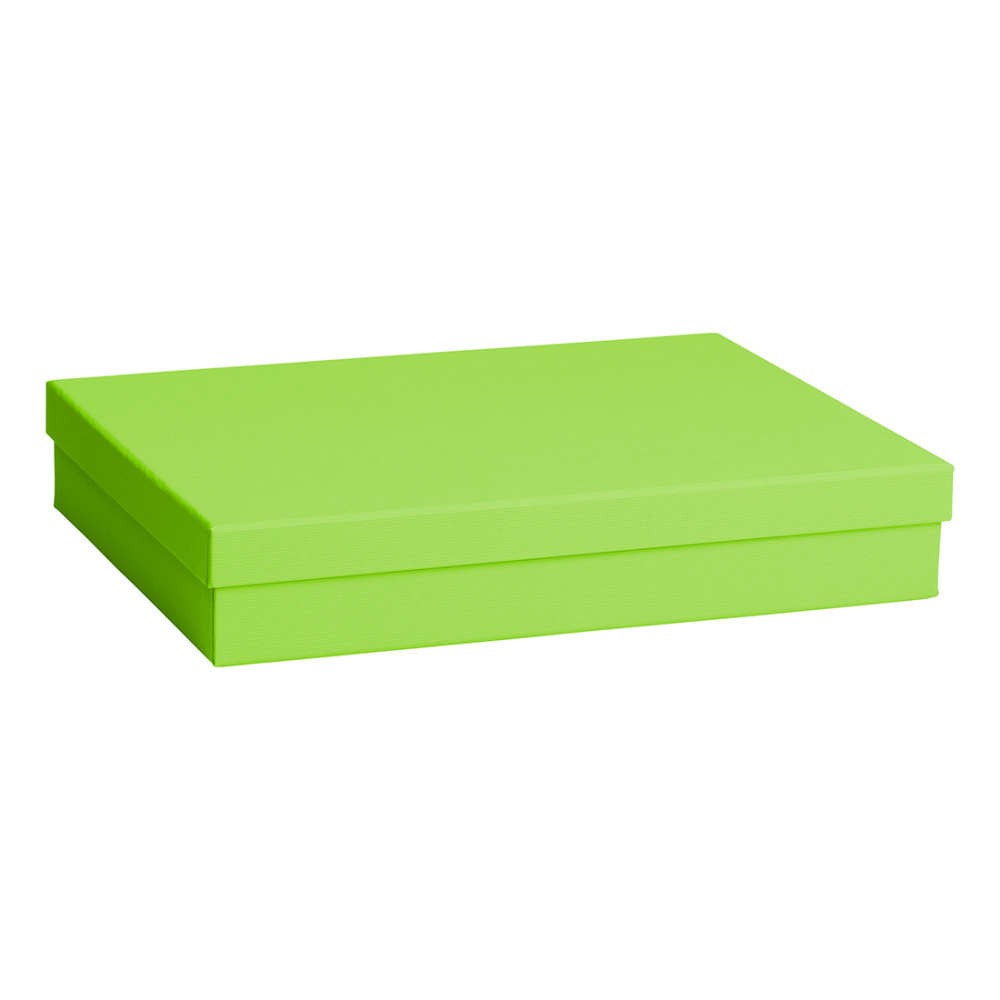 Geschenkbox „One Colour“ 24 x 33 x 6 cm grün hell