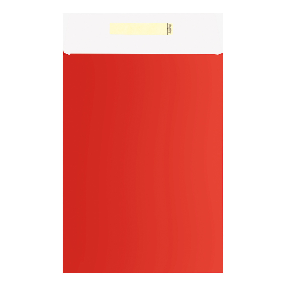Envelope gift bags „Uni Basic“ 22x5x30 + 6cm red